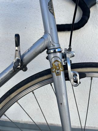 Bicicleta Razesa Clásica