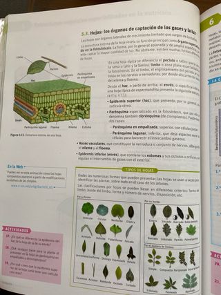 Biología y geología. 1 Bachillerato. Savia (Spa...