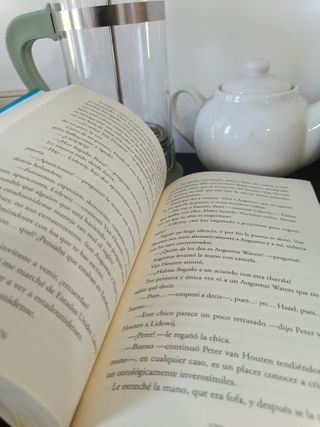 Bajo la misma estrella (Spanish Edition)