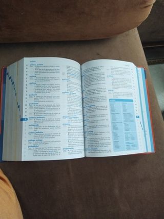 Diccionario Primaria