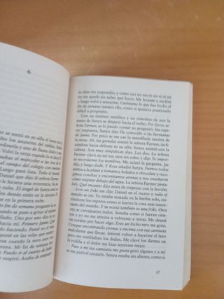 Mi hermana vive sobre la repisa de la chimenea