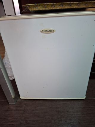Mini congelador Exquisit 30L