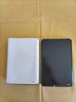 Libri "Notte sull'acqua e Absolute Begin