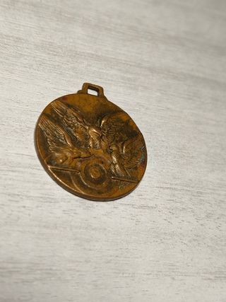 Medaglia Alpini Tiro a Segno Nazionale Aquile