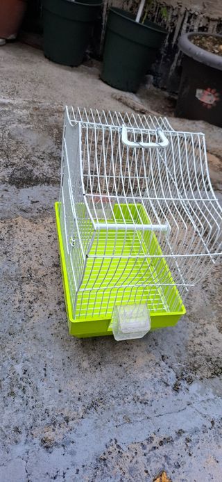 Jaula  verde