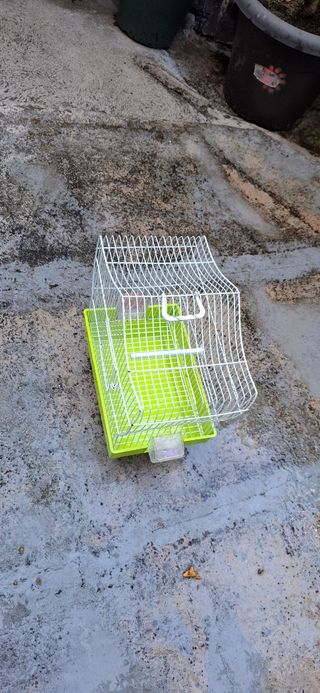 Jaula  verde