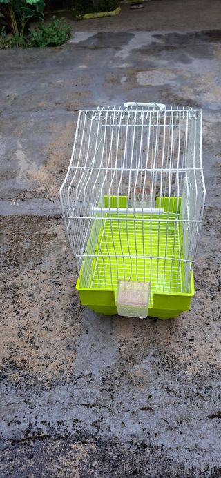 Jaula  verde