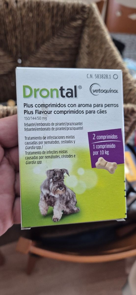 Cortapelos para Perro con Accesorios