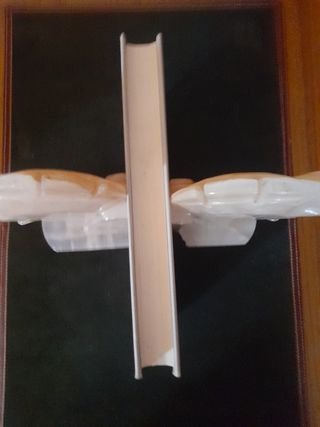 No estabas en el cielo. Fernando G. Delgado.