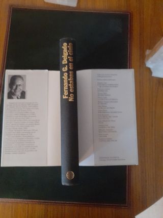 No estabas en el cielo. Fernando G. Delgado.