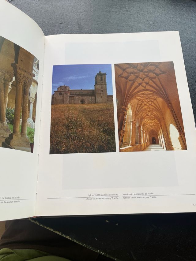 Camino de Santiago (castellano-francés)