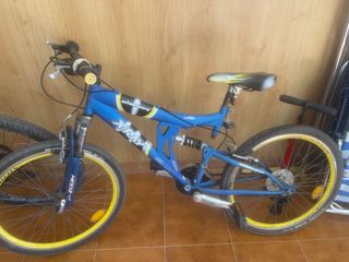 Bicicleta XRAY Dual Suspension 24