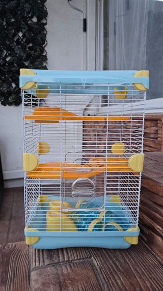 Casa para hámster ruso o ratón