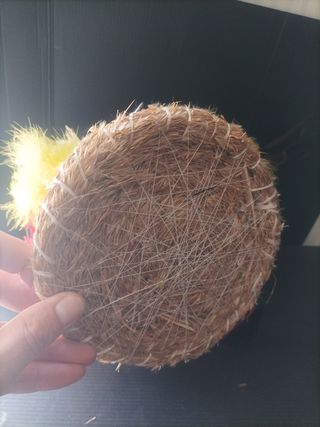 Ninho Galo e Galinha Eletrónico