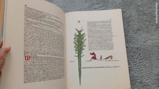 El Libro Rojo de Carl Jung