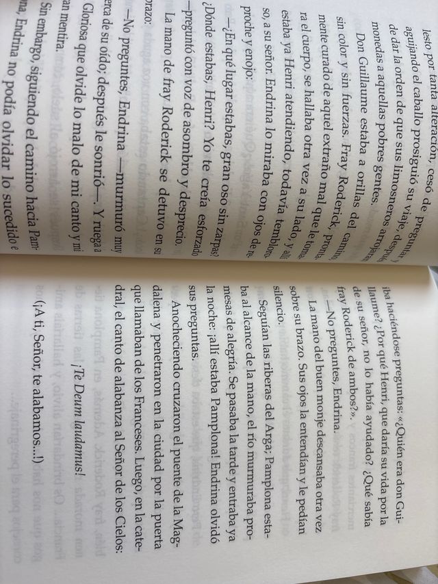 Endrina y el secreto del peregrino