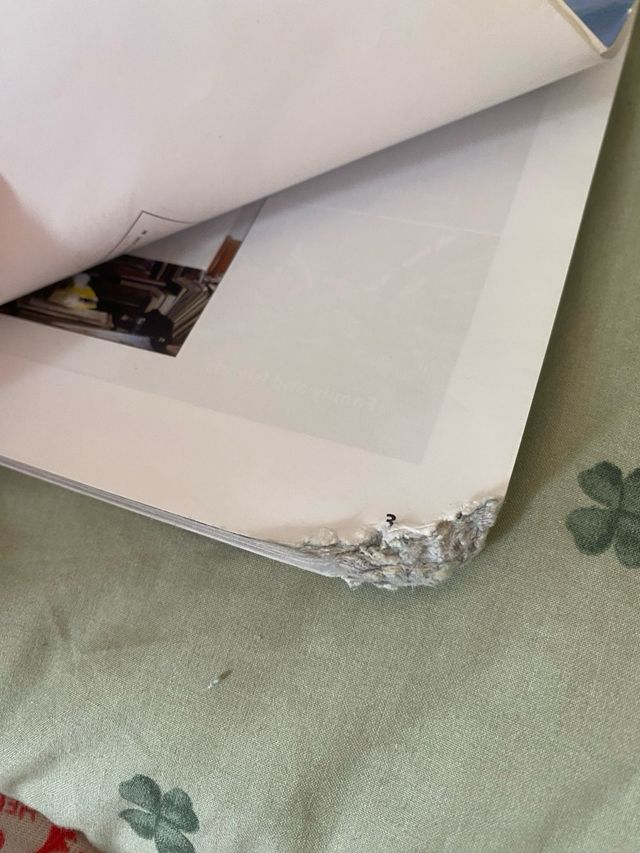 Perspectives Pre-intermediate: Student's Book