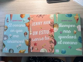 El verano en que me enamoré