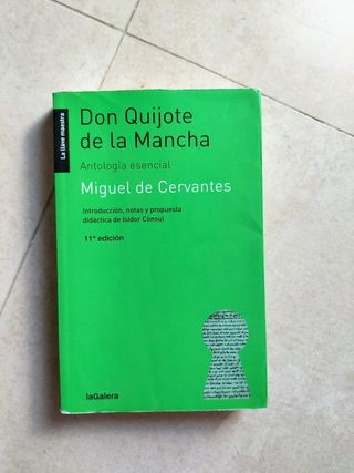 Don Quijote de la Mancha: Antología esencial