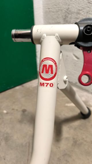 Rodillo MINOURA GT750