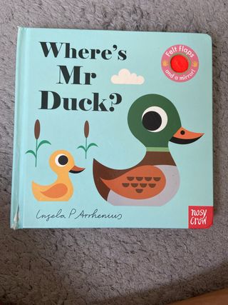 Where's Mr Duck? (Felt Flaps)