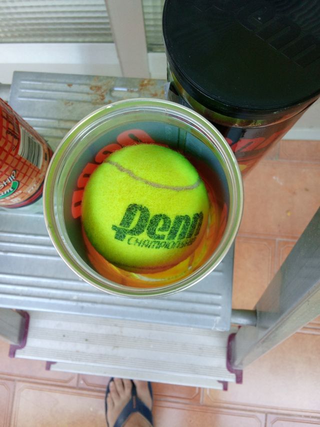 Pelotas de Tenis Penn Championship Premium