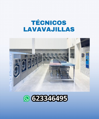 Técnico eficaz de lavavajillas industria