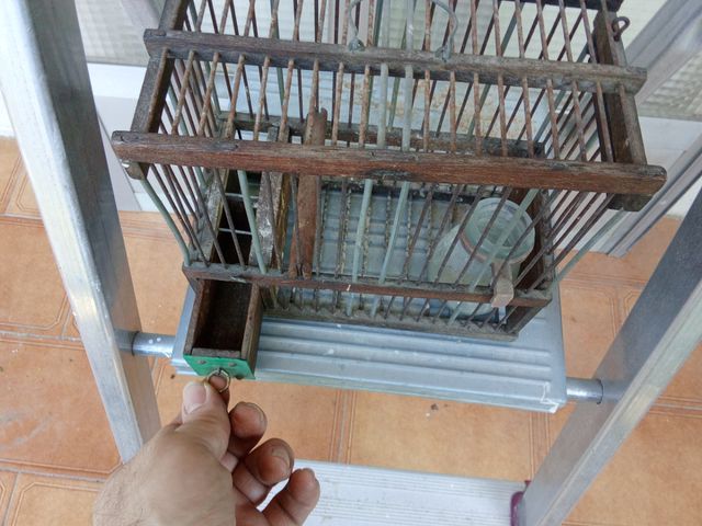 Jaula antigua para pájaros