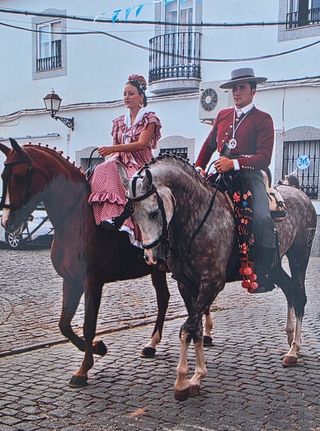 Vestido de flamenca rosa de capa + mantoncillo