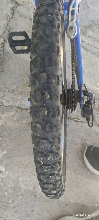 Bicicleta Infantil 20"Azul