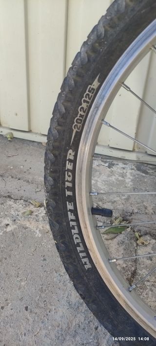 Bicicleta Infantil 20"Azul