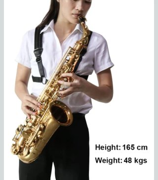 Arnés de piel marca 'Rayzm' para saxo. Talla S