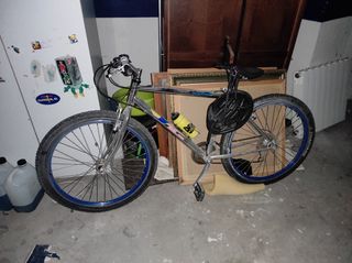 Bicicleta mediana
