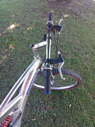 Bicicleta de montaña plateada