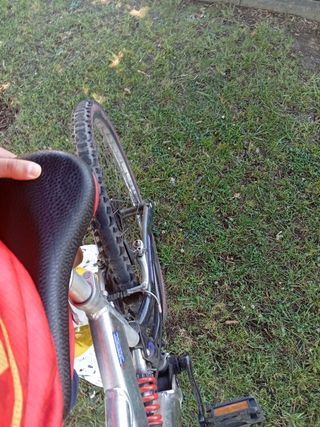 Bicicleta de montaña plateada