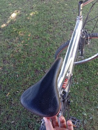 Bicicleta de montaña plateada