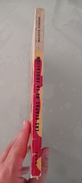 Las etapas de la educación