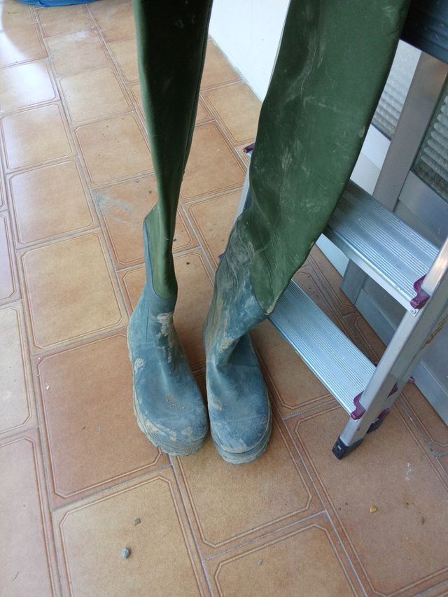 Vadeador Neopreno Daiwa