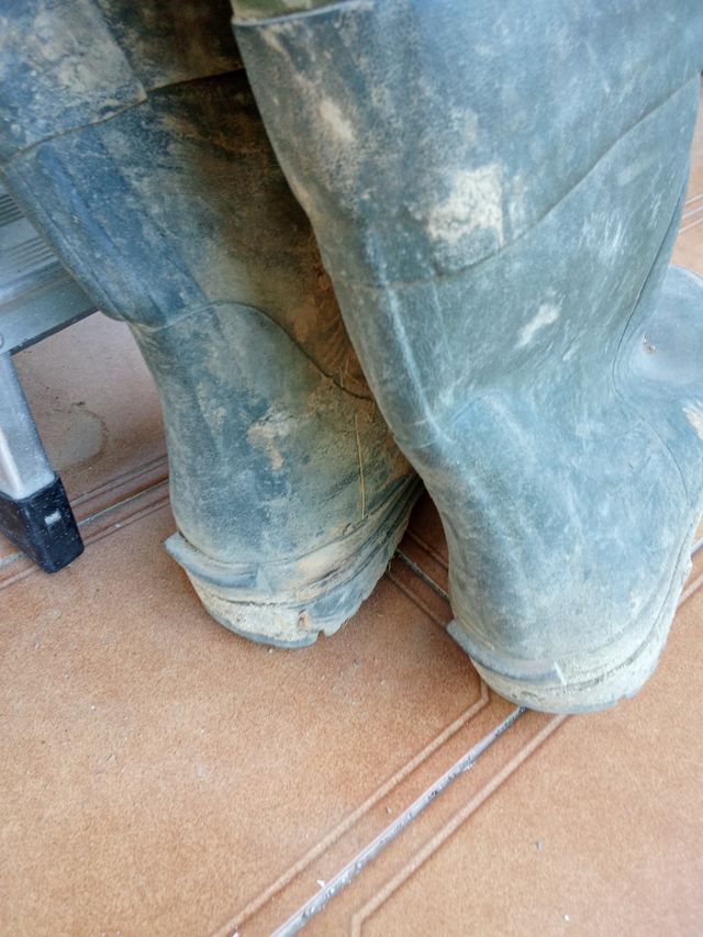 Vadeador Neopreno Daiwa