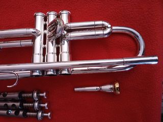 Trompeta plateada