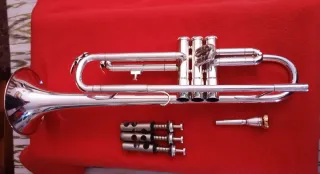 Trompeta plateada