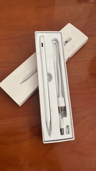 Lápiz Stylus Blanco con Cable USB