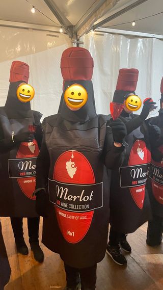 Disfraz Botella Vino Merlot Talla Única.