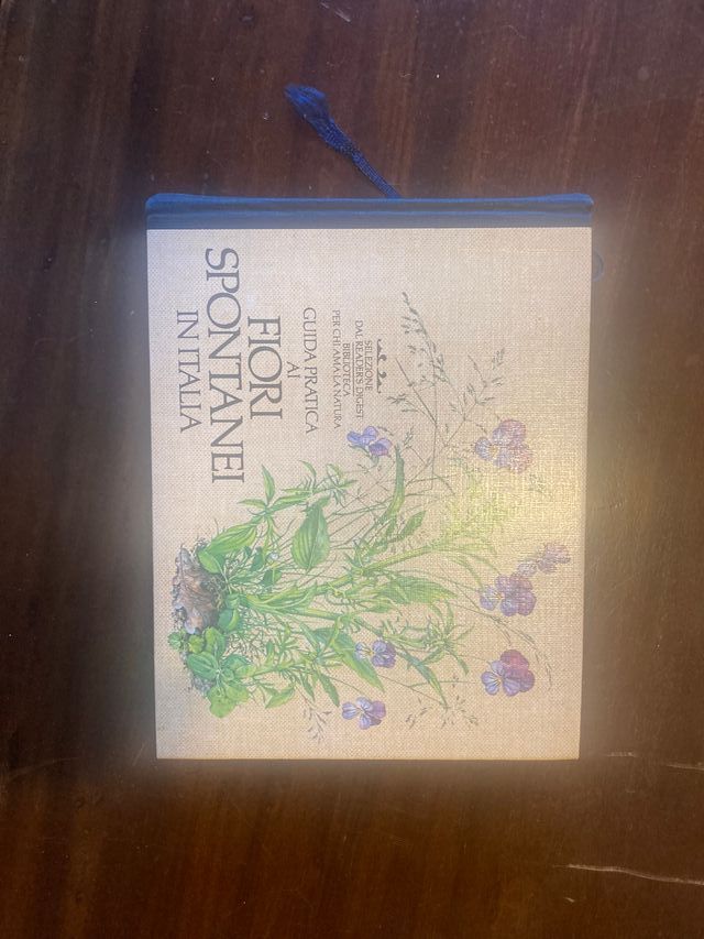 Guida pratica ai funghi spontanei in Italia