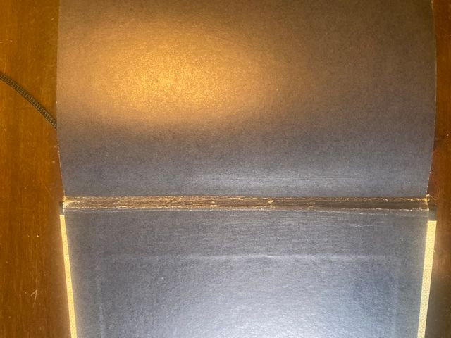 Guida pratica ai funghi spontanei in Italia