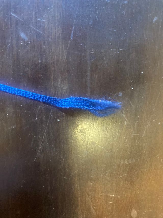 Guida pratica ai funghi spontanei in Italia