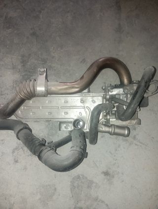 Culata T5 Grupo Bav Completa