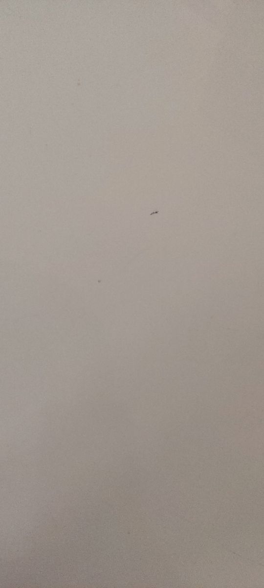 Mesa extensible lacada blanca 130cm