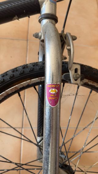 Bicicleta Monty