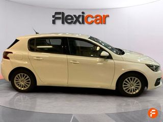 Peugeot 308 5P Business Line BlueHDi 100 S&S 6V MAN